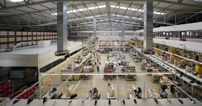 Campobello and Cruz de Pedra: Export Strategy and Own-Brand Positioning